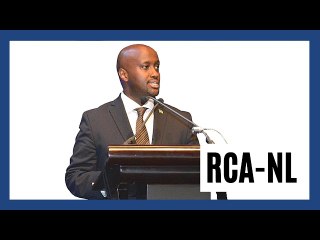 Ijambo ry a Amb. Nduhungirehe uhagarariye u Rwanda mu Buholandi mu Nama ya mbere y'abagize RCA-NL