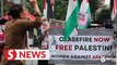 Rain fails to dampen spirits of Palestinian solidarity picket participants