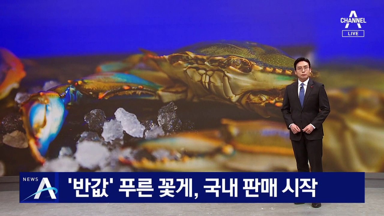 ‘반값’ 이탈리아 푸른 꽃게…국내 판매 시작