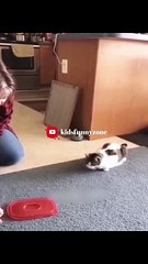 The Funniest Fails and Bloopers (Try Not to Laugh Challenge) part-24