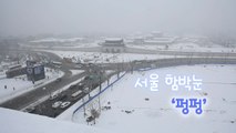 [영상] 서울 함박눈 펑펑 / YTN