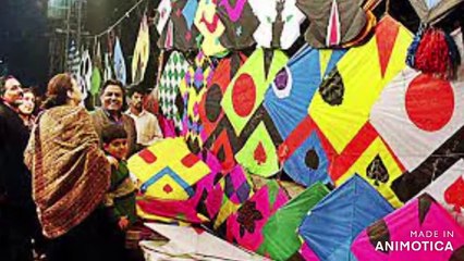 Basant ; The Lost Festival Of Lahore. #basantfestival #festivalsoflahore  #basantmela #basantvlog