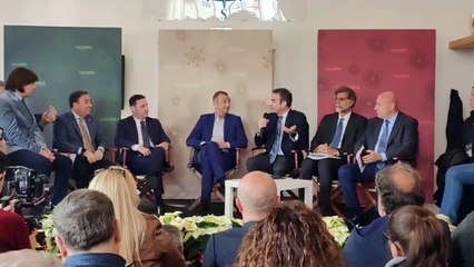 Occhiuto e Amadeus sul concertone Rai