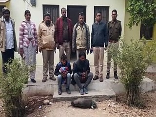 ग्रामीणों ने राष्ट्रीय पक्षी मोरों का शिकार करने आए दो जनों को एक मृत मोर के साथ दबोचा-video