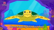 Tooty Ta Sea Turtle   Sea Animals Songs   Pinkfong Songs for Children