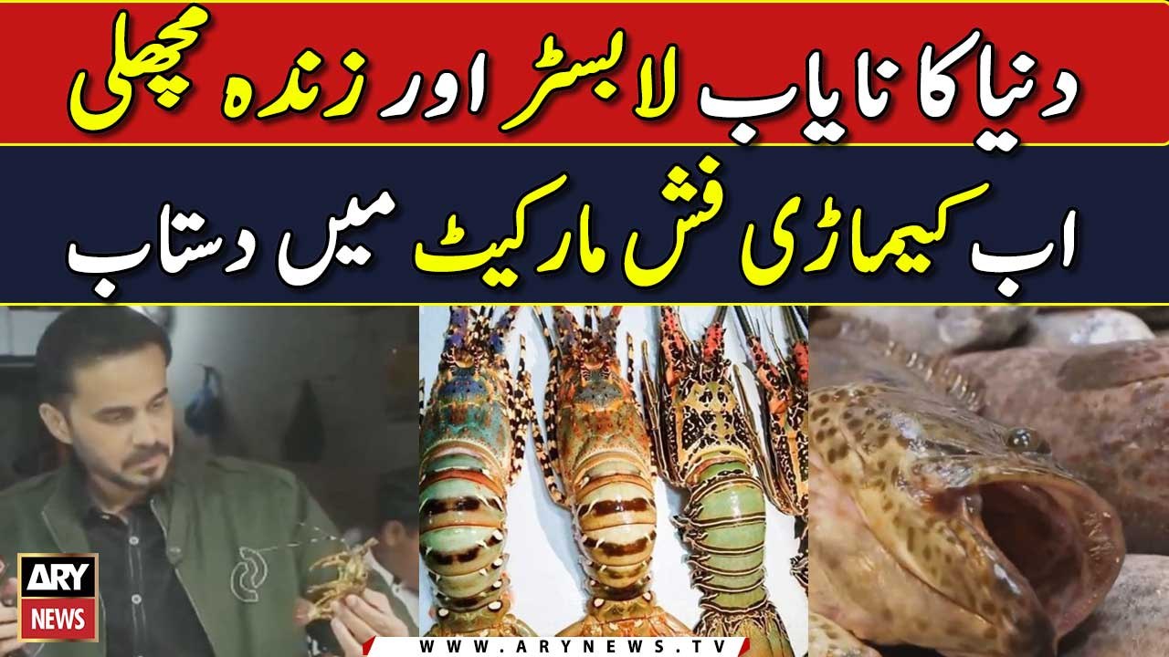 Duniya ka nayab Lobster aur Zinda Machli ab Kemari Fish Market main Dastiyab | Sea food Street