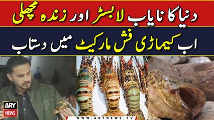 Duniya ka nayab Lobster aur Zinda Machli ab Kemari Fish Market main Dastiyab | Sea food Street