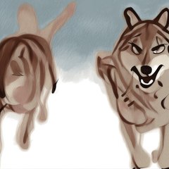 A la poursuite de Scout, le loup aventurier : Voyage sans limites (Arte)