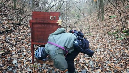 ياباني يُبعد الدببة عن المناطق السكنية بأسلوب أقل عنفاً من القتل