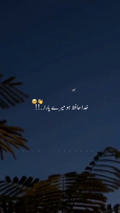 Urdupoetry/viral poetry/Viral video/New video/trading video.