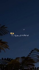 Urdupoetry/viral poetry/Viral video/New video/trading video.