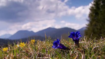 Tempesta d'amore - 27 dicembre 2023