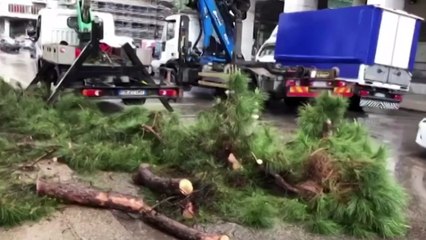 Danni per il maltempo, da Roma in arrivo 35,6 milioni