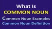 What is a Common Noun | Common Noun Examples | Common Noun Definition