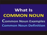 What is a Common Noun | Common Noun Examples | Common Noun Definition