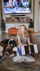 Cadeau de noël pas vraiment prévu