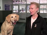 Jim Henson Dogs Xexuson - Real Life Dog Segment - Meet Benny The Dog goes the Ice Skating