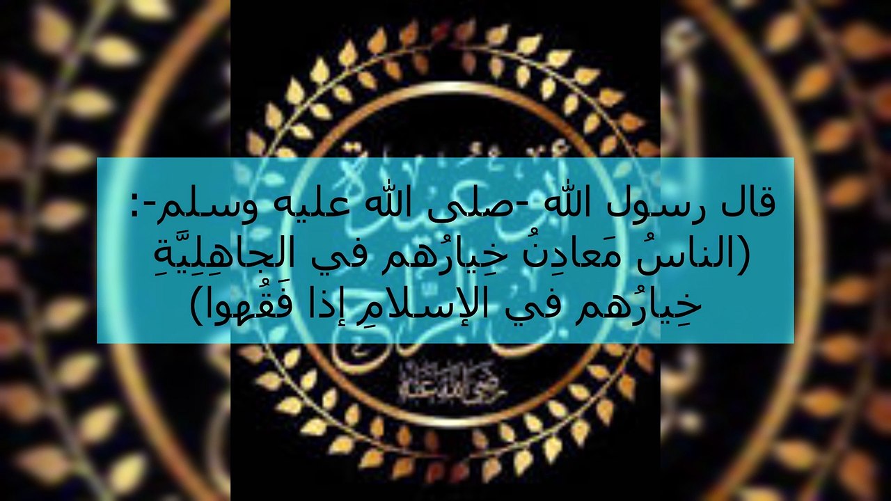 Aboubaidalive01