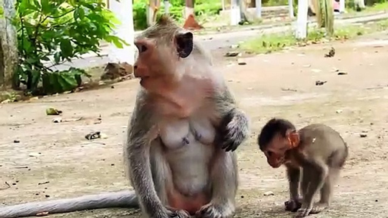Of LOVE, Malika Mom Give Sweet K-I-S-S  to Adorable Monika Child (720p_25fps_H264-192kbit_AAC)