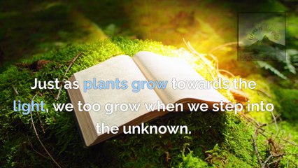 Plato's Insights: How I Conquered the Fear of the Unknown