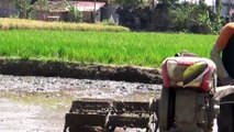 Cultivating Heritage The Story of Traditional Tractors in Javanese Paddy Fields