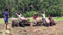 Tilling Traditions Exploring Javanese Rice Fields with Traditional Tractors