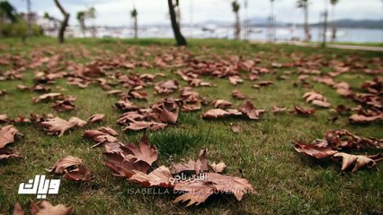 مسلسل بريق الأمل الحلقة 17