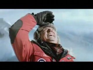 ペンギン、空を飛ぶ