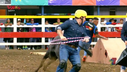 Toros 30 Diciembre 2023