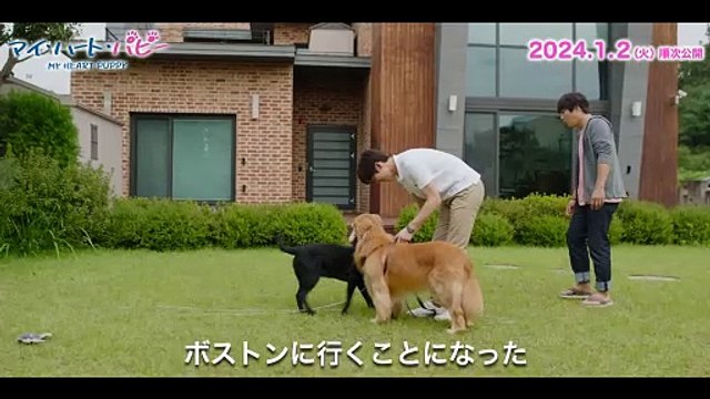 映画『マイ・ハート・パピー』コメント映像