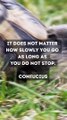 It doesn't matter how slowly you go as long as you do not stop.