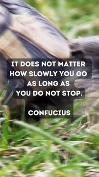 It doesn't matter how slowly you go as long as you do not stop.