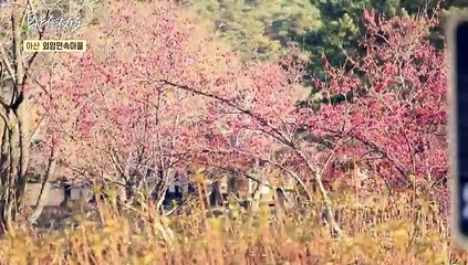 [풍경여지도] 500년 전으로의 시간여행 - 충남 아산 1부