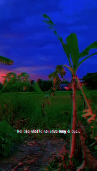 Trong tình yêu tôi đã cố gắng rất nhiều rồi..!