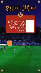 ما هو أقصى عدد من الفرق التي يمكن أن تشارك في الدوري السعودي لكرة القدم؟