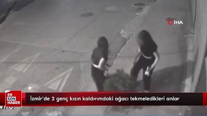 İzmir’de 2 genç kızın kaldırımdaki ağacı tekmeledikleri anlar