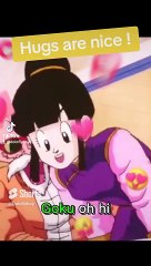 Team four star chichi and goku