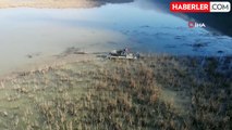 Efteni Gölü'nün yüzeyi temizleniyor