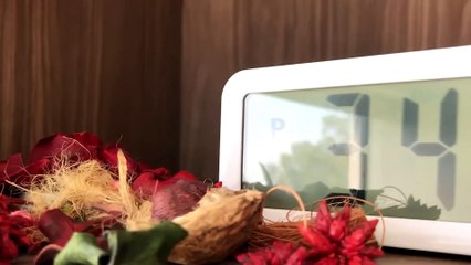 Me dejas en visto - al3xDonut por Wiki LostMedia-al3xDonut