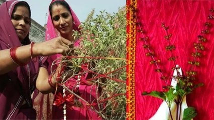 2024 नए साल के पहले दिन तुलसी में बांध दें 1 चीज, सालभर गरीबी से मिलेगा छुटकारा बरसेगा पैसा |Boldsky