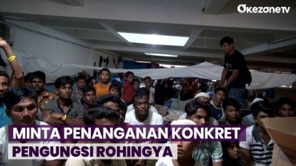 Ulama Aceh Kirim Surat Terbuka ke Presiden Jokowi, Minta Penanganan Konkret Pengungsi Rohingya