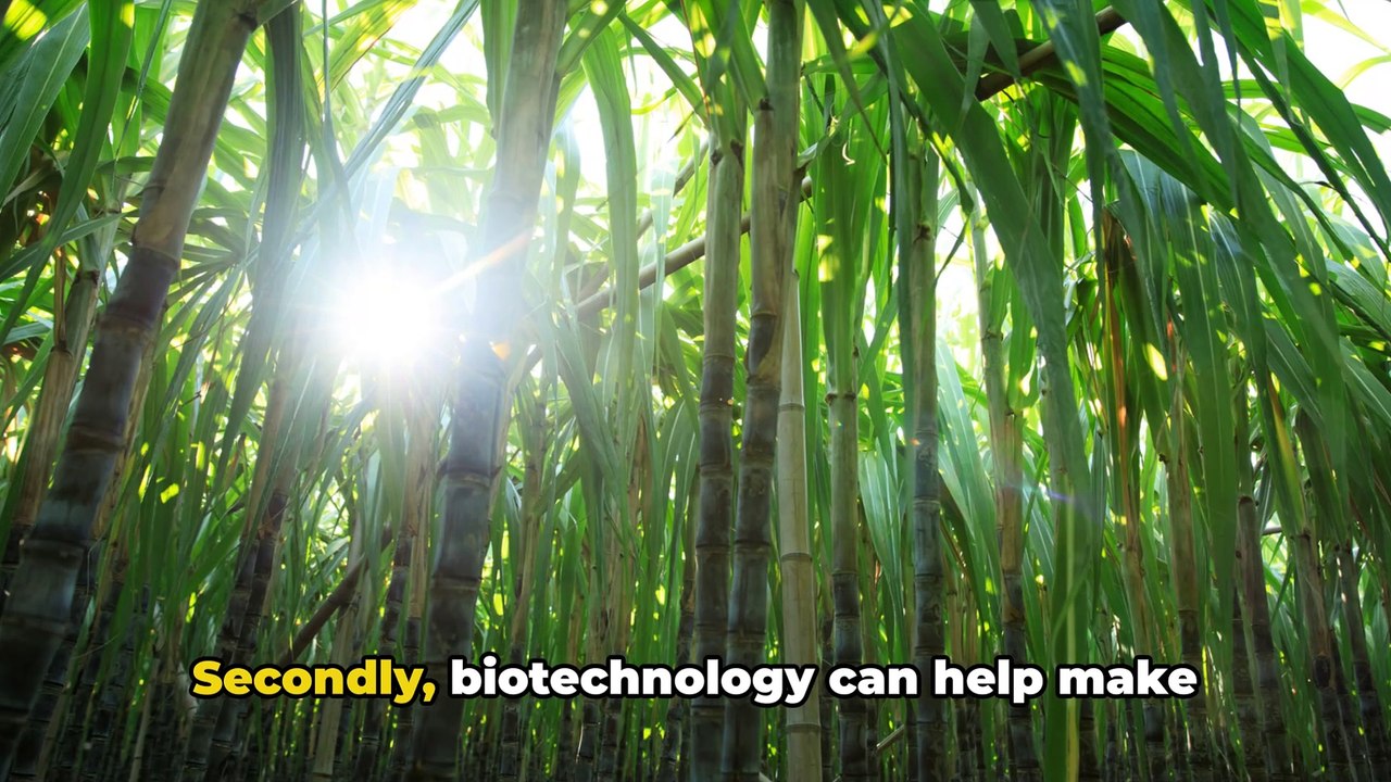@ Sweet Science - The Biotechnology of Sugar