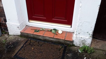 A single rose left on doorstep of house where woman, 77, was found dead