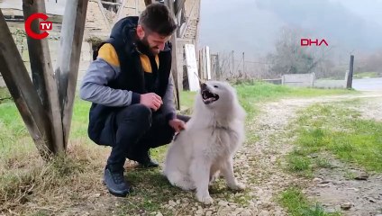 İtfaiyeyi yanına yaklaştırmadı Sahibi gelince indi