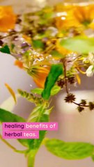 Guided Meditation for Well-Being and Harmony