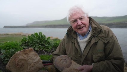 Sir David Attenborough on painstaking excavation of giant sea monster skull