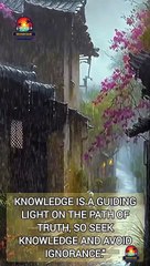 Knowledge is a light that guides to the light of truth