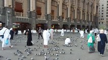 حمام الحرم المكي _ Makkah live Mecca