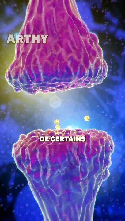 FUMER rend plus INTELLIGENT ?