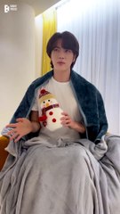 Jin Birthday Message January 2024 ENG SUB | Seokjin in the month of n [n월의 석진]
